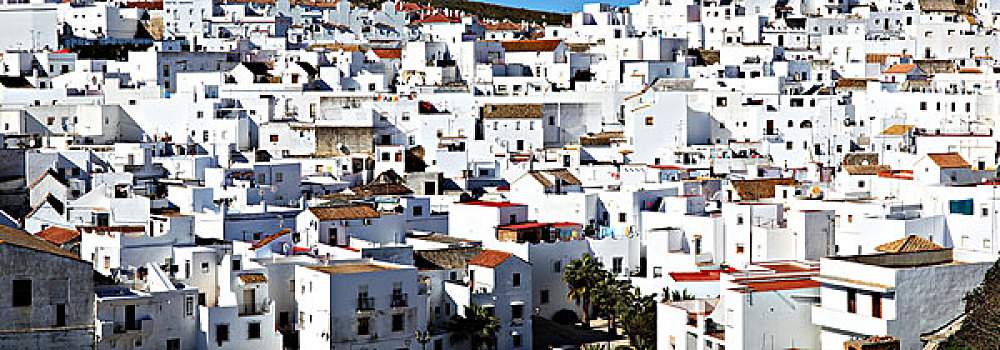 城市,刷白,建筑,安达卢西亚,西班牙