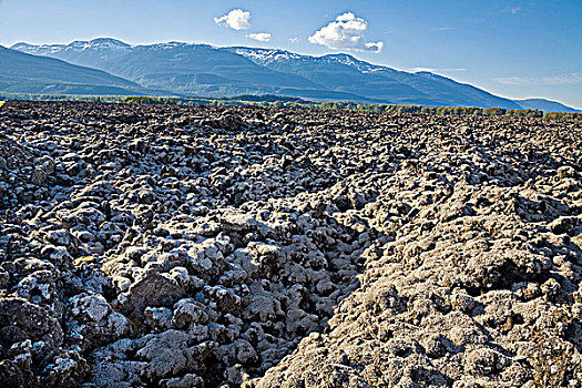 火山岩,床,纪念,省立公园,海岸,山峦,不列颠哥伦比亚省,加拿大