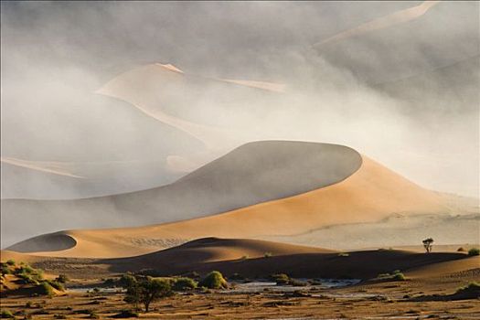 沿岸,雾,沙丘,索苏维来地区,纳米布沙漠,纳米比亚,非洲