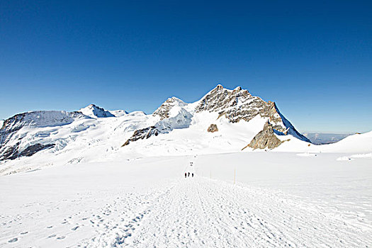 风景,轨迹,雪中,遮盖,山景,格林德威尔,瑞士