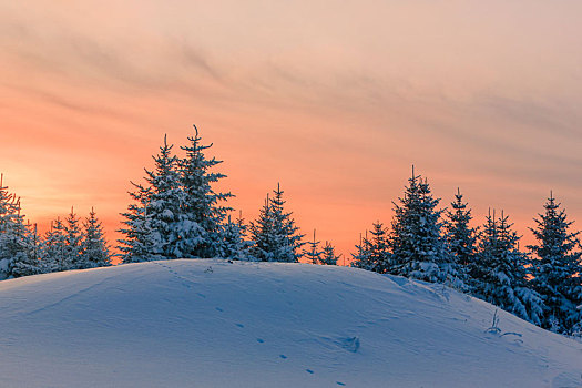 雪岭夕照