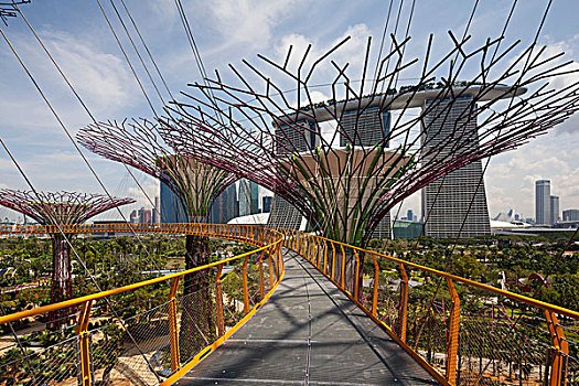 花园,新加坡,同伴,建筑师