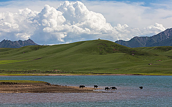 山丹祁连山军马场美景