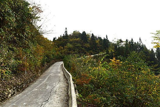 农村山区道路