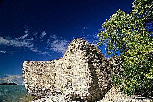 石灰石,海岸线,湖,曼尼托巴,石头,加拿大