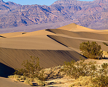 沙丘,荒漠景观,大沙丘国家纪念公园,科罗拉多,美国