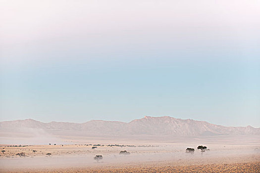 晨雾,纳米布沙漠,纳米比亚,非洲