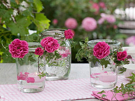 罐头瓶,粉色,玫瑰花瓣,常春藤属,常春藤,卷须