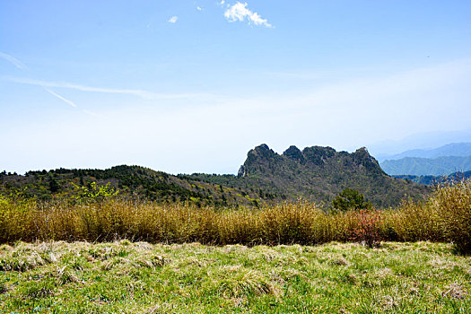 秦岭高山草甸