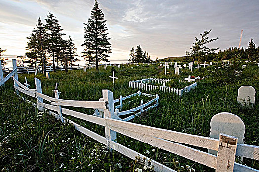 公墓,拉布拉多犬,纽芬兰,加拿大