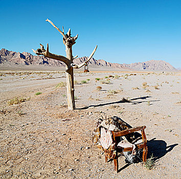 椅子,伊朗,模糊,老,枯木,空,荒芜,波斯,灯,油,枝头