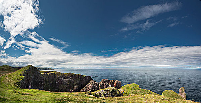 一个人,站立,看,岩石,海角,头部,苏格兰边境,苏格兰