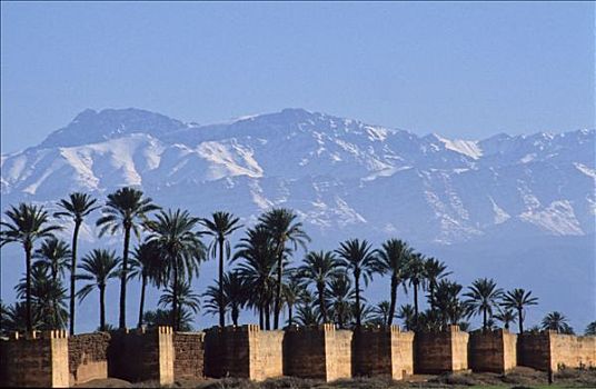摩洛哥,玛拉喀什,壁,棕榈树,山峦,背景
