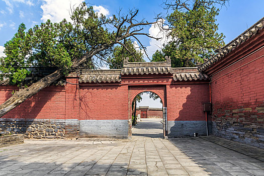 禅寺古树红墙古建,中国河南省登封市中岳庙