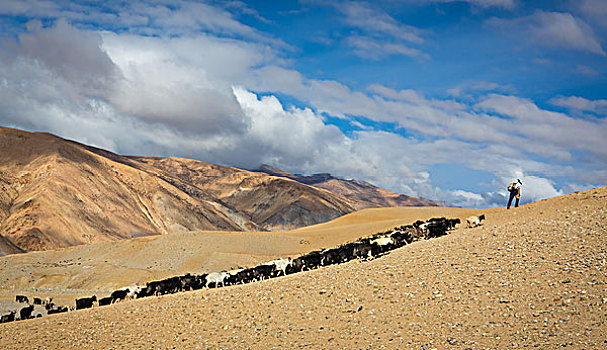 西藏阿里普兰风光