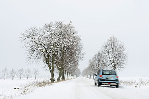 汽车,雪路,道路,冬天,萨克森安哈尔特,德国,欧洲