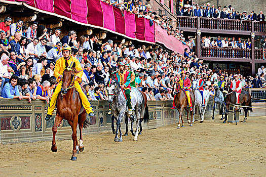 马,骑手,开端,历史,赛马,锡耶纳,坎波广场,托斯卡纳,意大利,欧洲