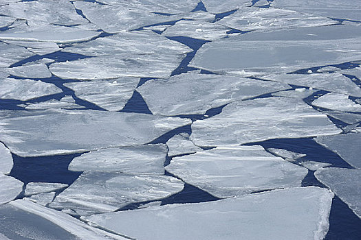 浮冰,威德尔海,南极