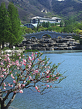 香山植物园