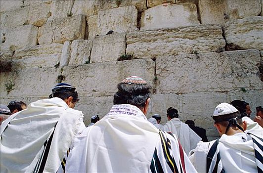 犹太区,哭墙,东正教,捕食,耶路撒冷,以色列