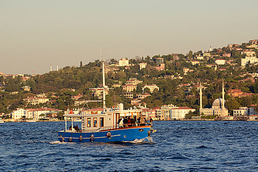 船,博斯普鲁斯海峡,亚洲,岸边,风景,伊斯坦布尔,欧洲,土耳其