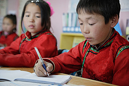 蒙古,学校,家,孩子,乌兰巴托,班级,荷花,中心