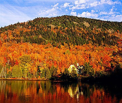房子,秋天,山坡,反射,湖