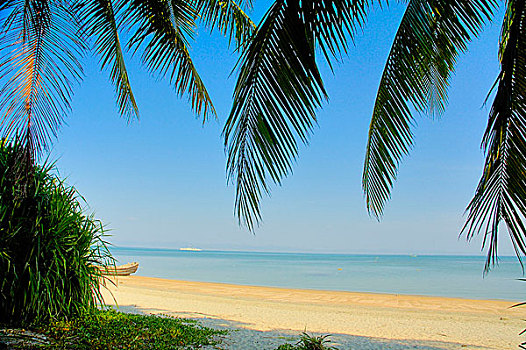 椰树,圣徒,岛屿,市场,只有,孟加拉,一个,著名,旅游胜地,小岛,东北方,湾