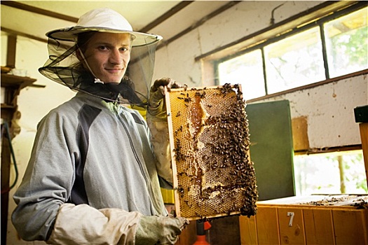 养蜂人,工作,蜂场
