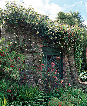 城堡,爱尔兰,花园棚屋,玫瑰,维多利亚时代风格,花园,夏天,18世纪,国家,信任,地产