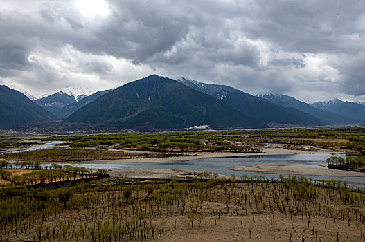 雅尼湿地