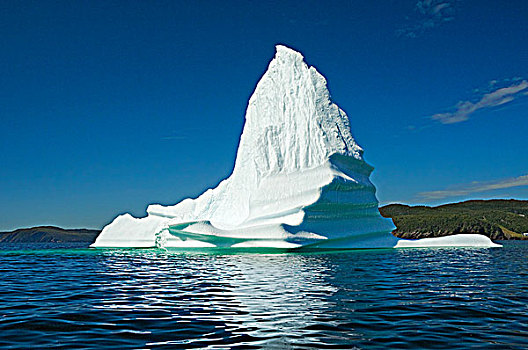 冰山,漂浮,湾,东方,纽芬兰,拉布拉多犬,加拿大