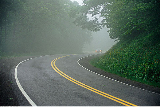 道路,雾