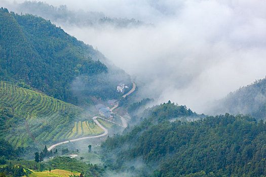 汉阴,凤凰山,云雾