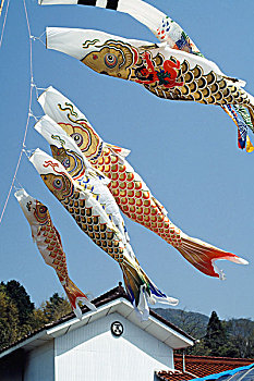 鲤鱼,旗帜,悬挂,户外,房子,广岛,日本