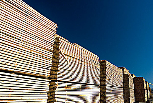 木材,弄干,工厂,不列颠哥伦比亚省,加拿大