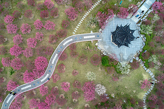 江苏省盐城市大丰区梅花湾景区