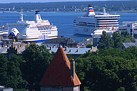 客船,波罗的海,港口,塔林,爱沙尼亚