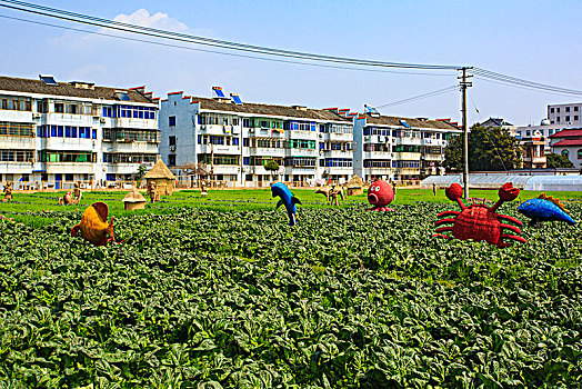 鄞州,咸祥镇,农村,田园,稻草人,童趣,海洋主题,农业,菜园