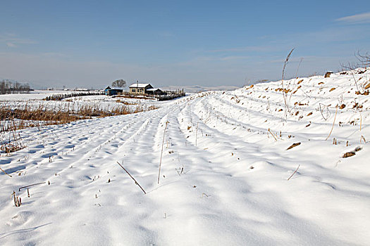 东北吉林省敦化市两江镇农村雪景