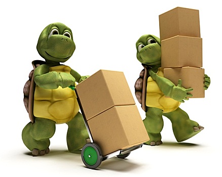 龟,盒子,运输