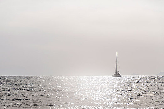 单色调,灰色,简约,图像,一个,帆船,公海,反光,明亮,太阳