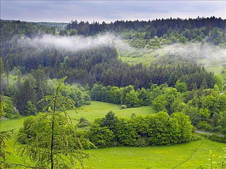 风景,靠近,条纹,薄雾,防护,区域,南方,摩拉维亚,捷克共和国,欧洲