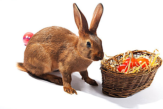 复活节兔子,复活节彩蛋,篮子