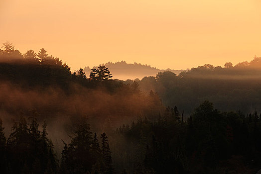 日出,上方,树林,晨雾,阿尔冈金省立公园,安大略省,省,加拿大,北美