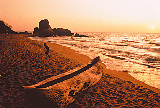 男孩,海滩,日落,坦桑尼亚