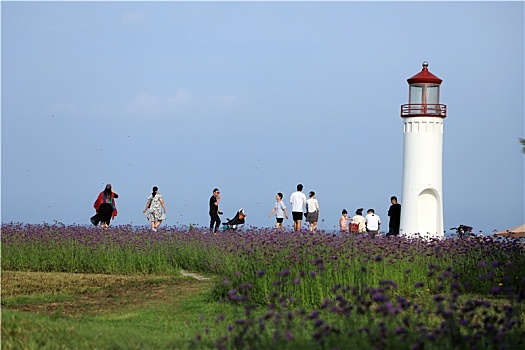 山东省日照市,游客徜徉花海漫步大海,感受蓝天碧海的魅力