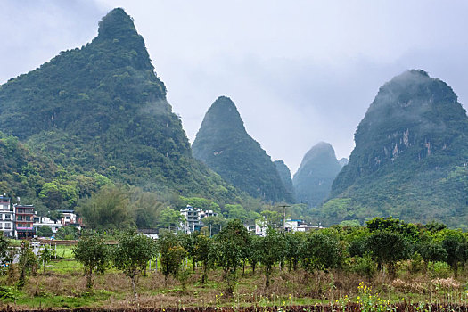 水果,果园,靠近,喀斯特地貌,山,阳朔