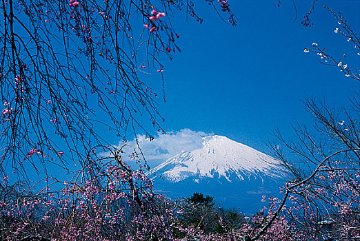 日本富士山风光