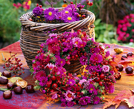 花环,紫苑属,野玫瑰果,秋叶